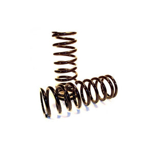 Nissan Patrol Y61 LWB 98-22 Rear Springs, Medium Load, Pair